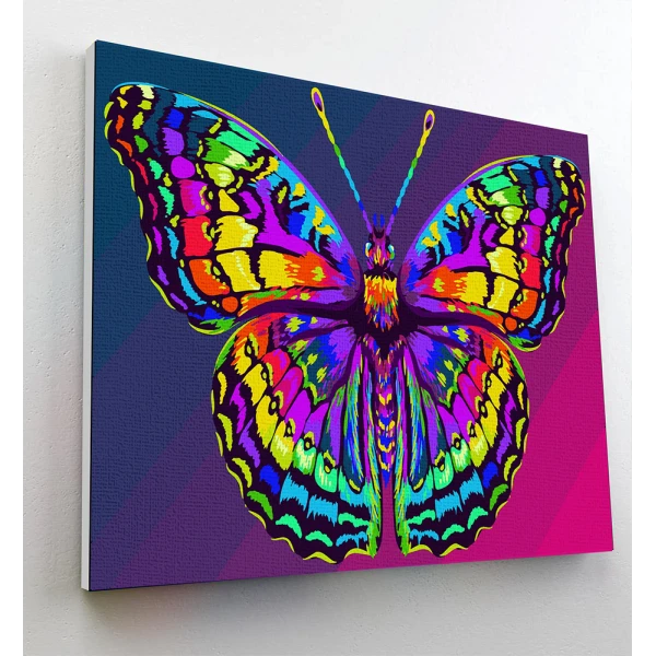 SPLAT PLANET PAINTING BY NUMBERS KIT ON FRAMED CANVAS 40X30 cm BUTTERFLY